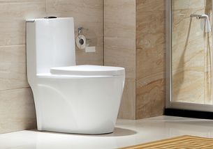 心海伽蓝卫浴 品质与性价比的平衡之选